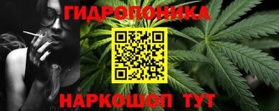 крисы Аша
