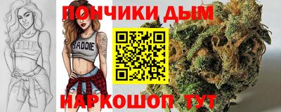 крисы Аша
