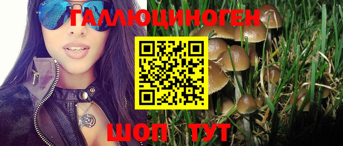Галлюциногенные грибы GOLDEN TEACHER  Вход с VPN  Вышний Волочёк 